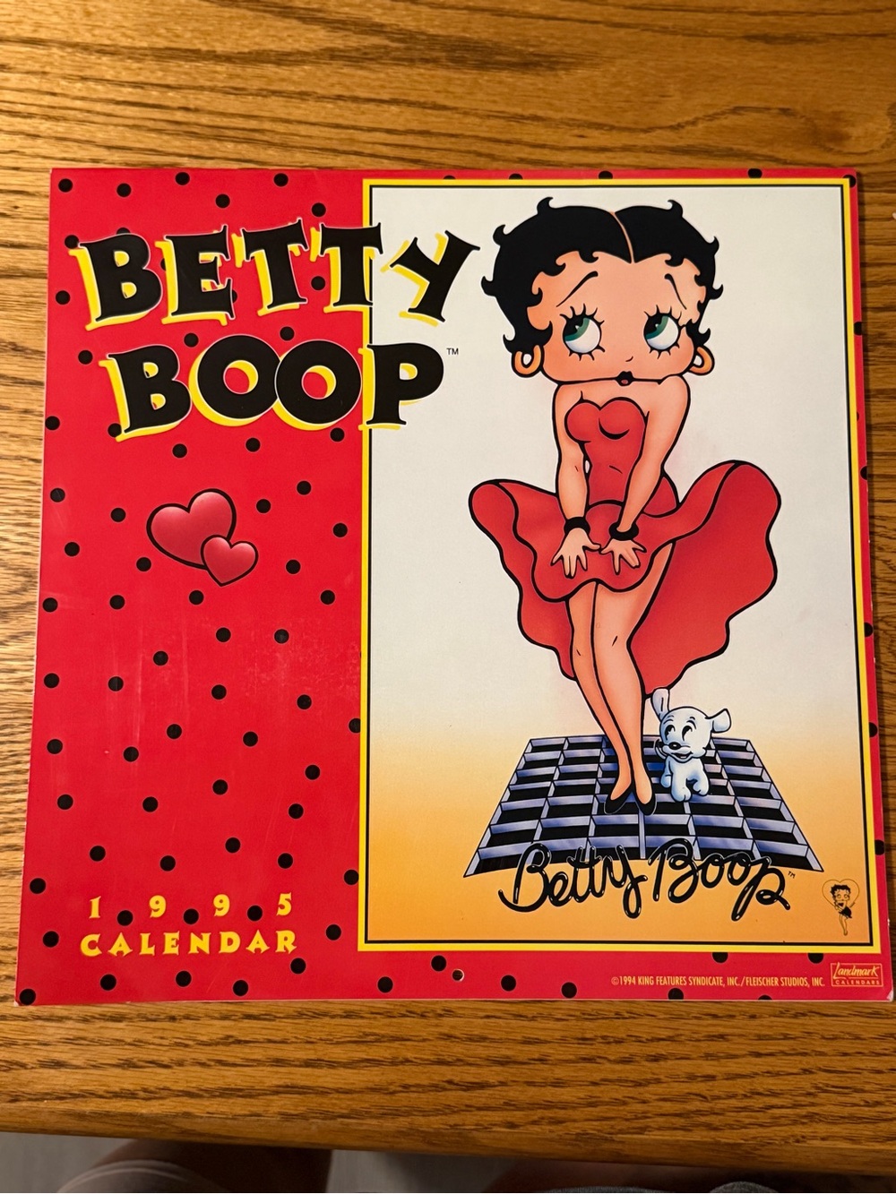 Vintage 1995 Betty Boop Wall Calendar Retro Collectible 90s Y2K